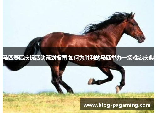 马匹赛后庆祝活动策划指南 如何为胜利的马匹举办一场难忘庆典 马匹赛后庆祝活动策划指南 如何为胜利的马匹举办一场难忘庆典