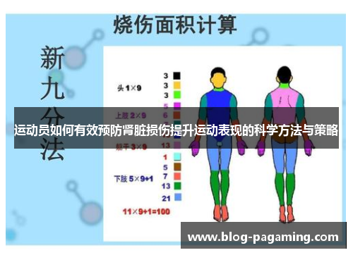 运动员如何有效预防肾脏损伤提升运动表现的科学方法与策略