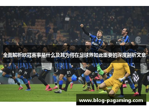 全面解析欧冠赛事是什么及其为何在足球界如此重要的深度剖析文章 全面解析欧冠赛事是什么及其为何在足球界如此重要的深度剖析文章