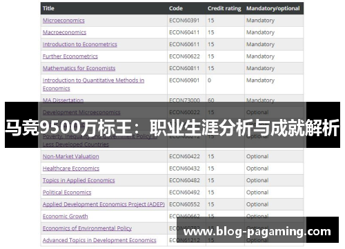马竞9500万标王：职业生涯分析与成就解析