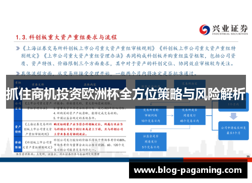 抓住商机投资欧洲杯全方位策略与风险解析