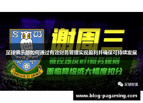 足球俱乐部如何通过有效财务管理实现盈利并确保可持续发展