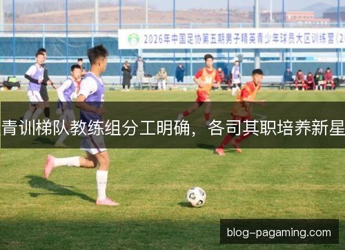 青训梯队教练组分工明确，各司其职培养新星